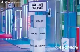 TikTok 品牌电商出海营销峰会现场照片 2